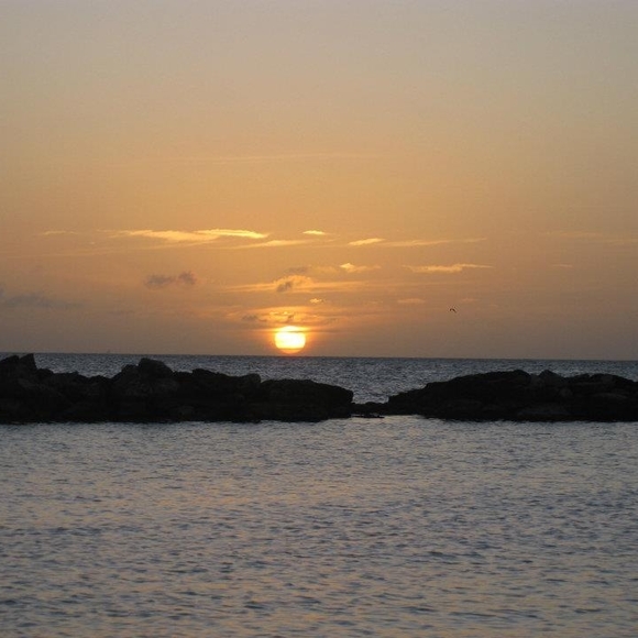 Meet your Posher - Picture 1 of 1